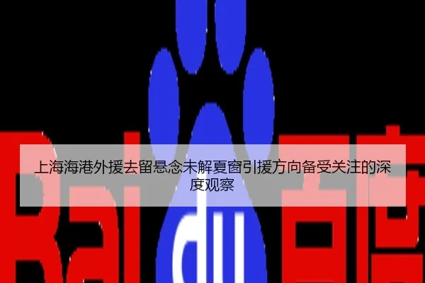 上海海港外援去留悬念未解夏窗引援方向备受关注的深度观察