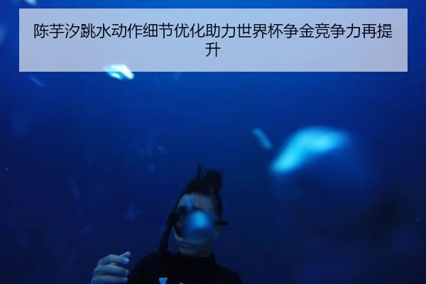 陈芋汐跳水动作细节优化助力世界杯争金竞争力再提升
