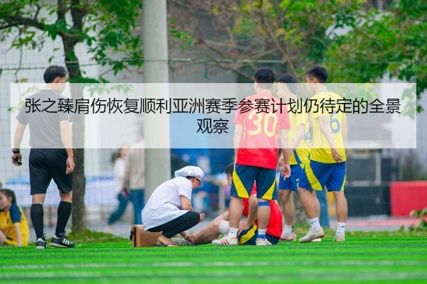 张之臻肩伤恢复顺利亚洲赛季参赛计划仍待定的全景观察