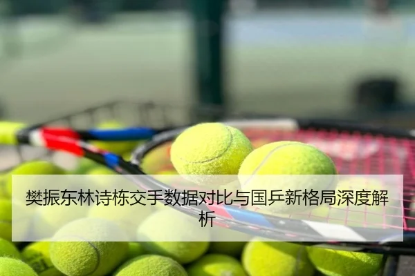 樊振东林诗栋交手数据对比与国乒新格局深度解析